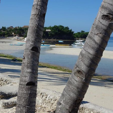 เดอะ ชาร์กส์ เทล ไดฟ์เซ็นเตอร์ Hotel Daanbantayan ภายนอก รูปภาพ