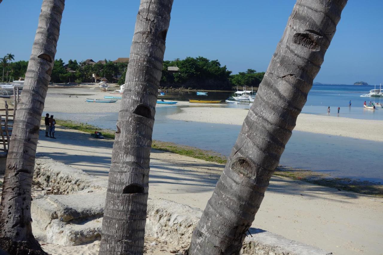เดอะ ชาร์กส์ เทล ไดฟ์เซ็นเตอร์ Hotel Daanbantayan ภายนอก รูปภาพ